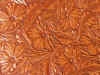 back dreop.JPG (1003525 bytes)